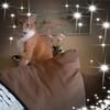 nancyjwatts53